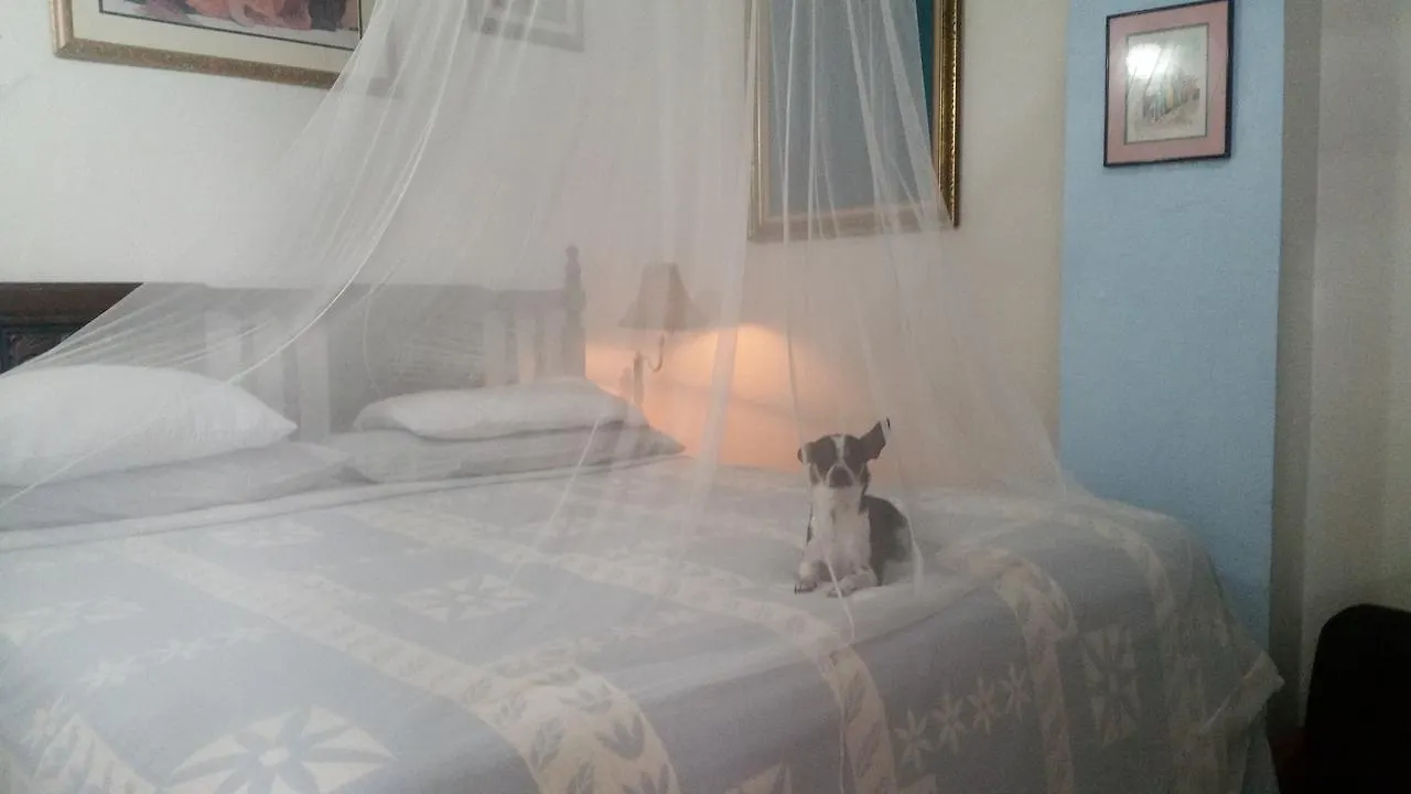 Casa Tripgogo Bed & Breakfast San Juan 2*,  Puerto Rico